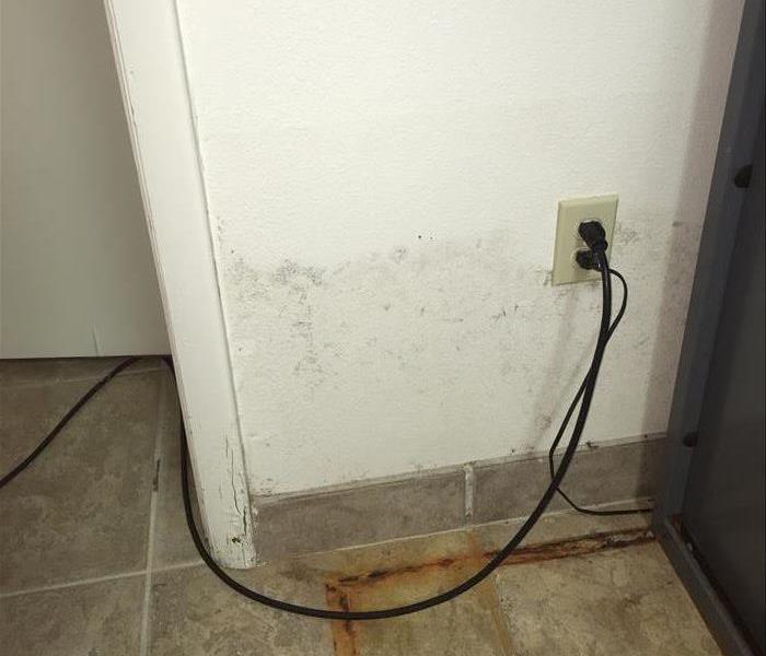 white wall with mold stains, rust stains on tiled floor