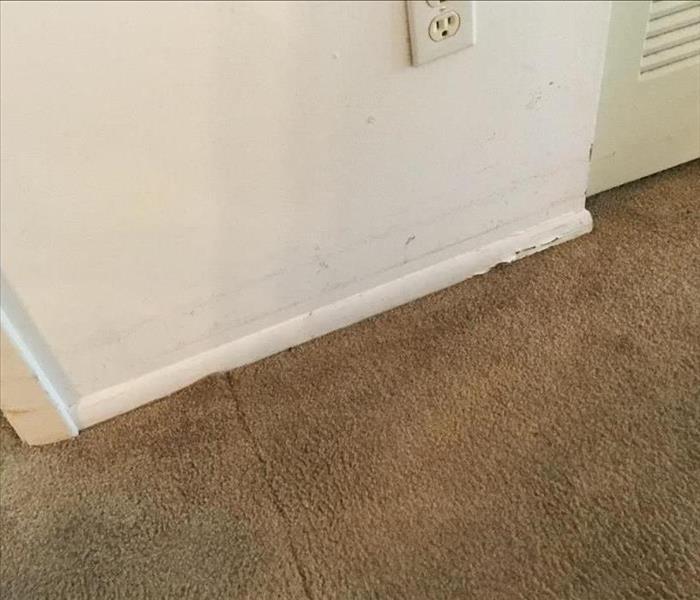 peeled paint, stained wall and wet brown carpet
