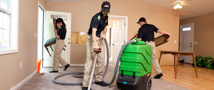 Centereach, NY cleaning services